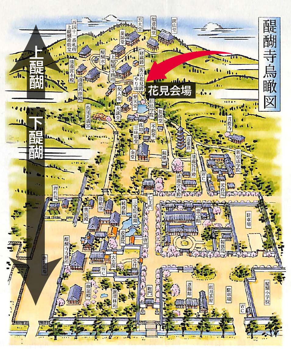 醍醐 と は