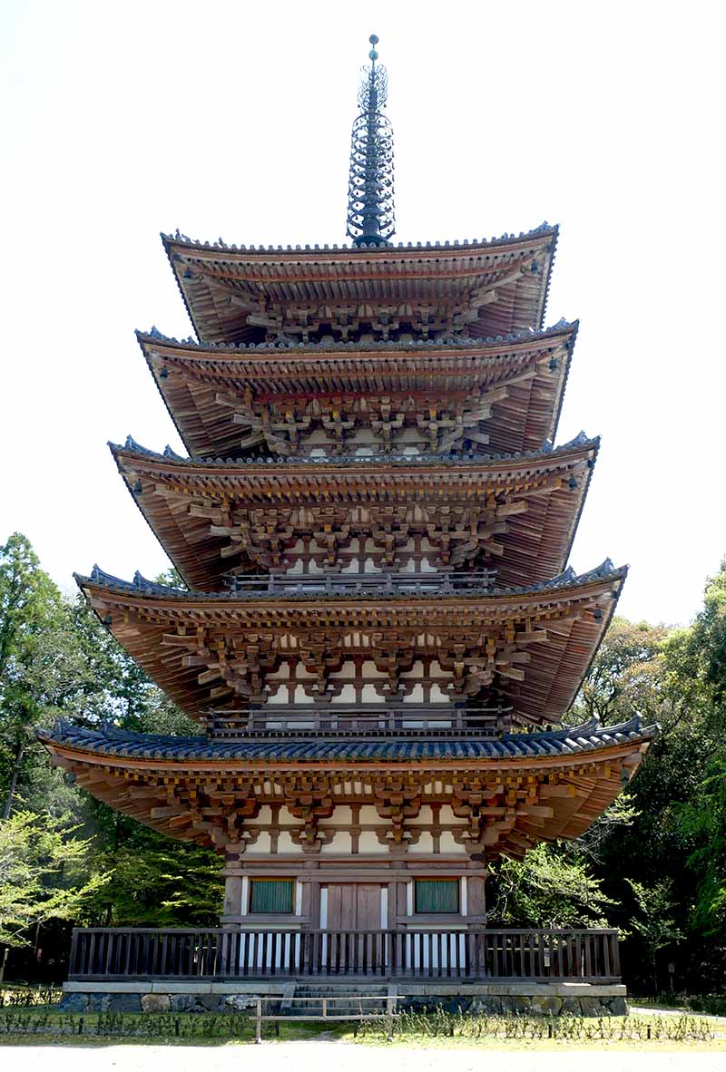 醍醐 と は